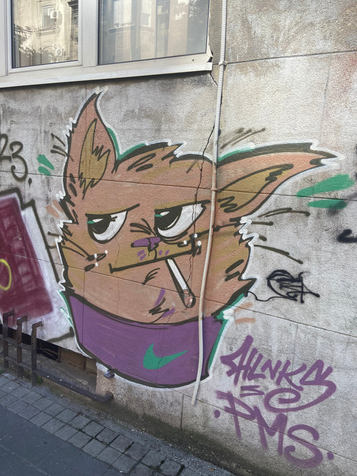 Белград. Назад в прошлое. Отзыв туриста4