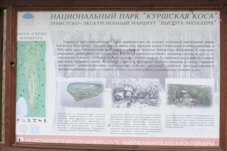 Маршрут «Высота Мюллера»