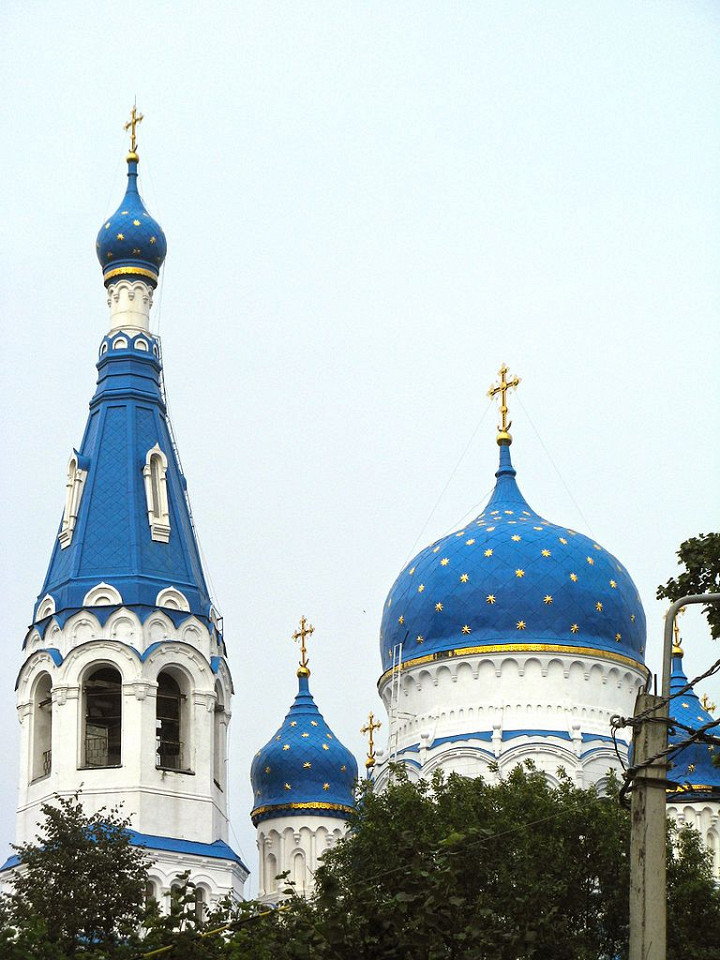 Гатчинский Покровский собор, колокольня и купола