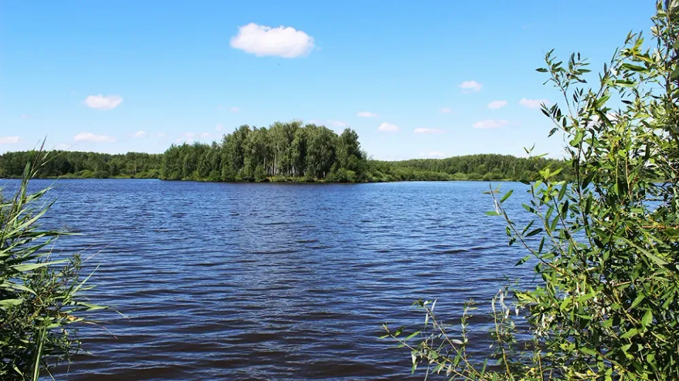 Где купаться и загорать в Нижнем Новгороде 3