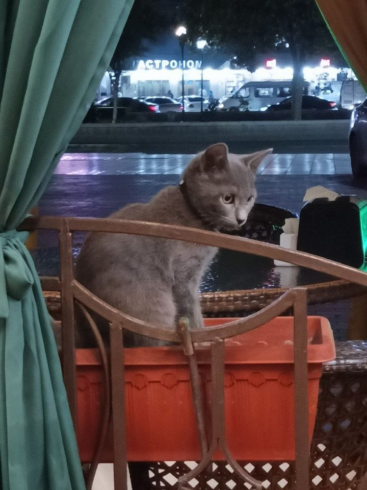 Безумный Дагестан, отзыв1
