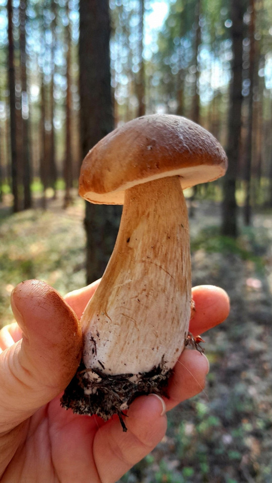 MariLand в Марий Эл, отзыв5
