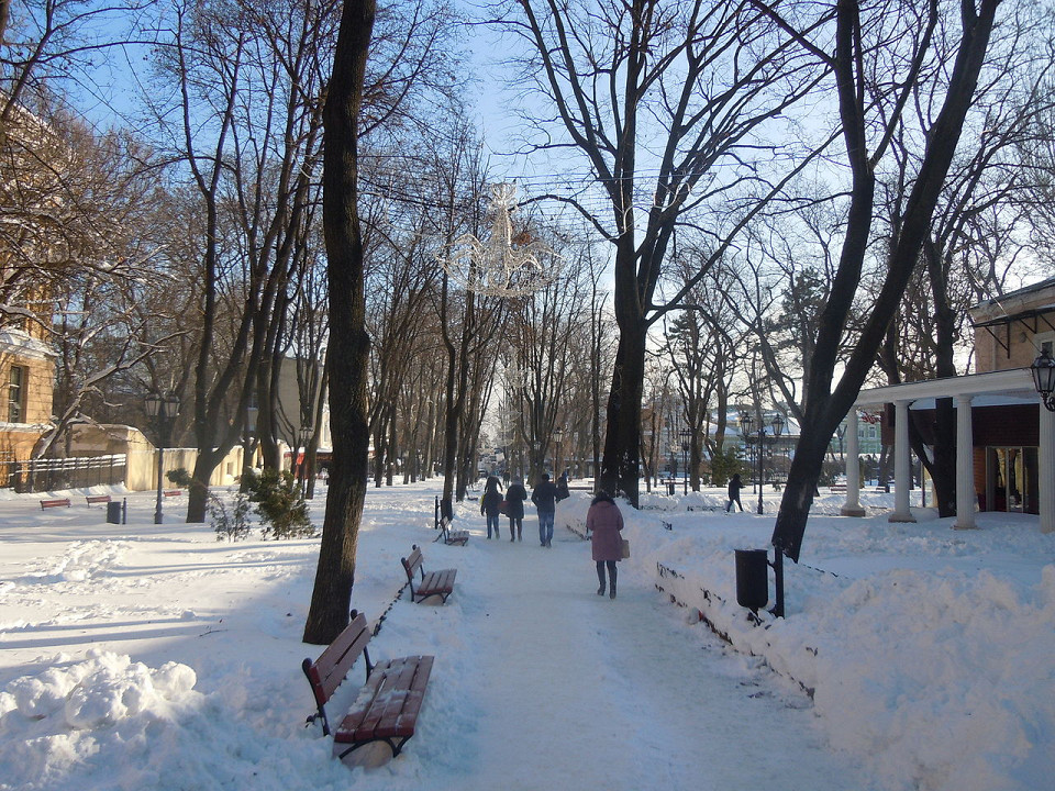 Городской сад Одессы, зимний день