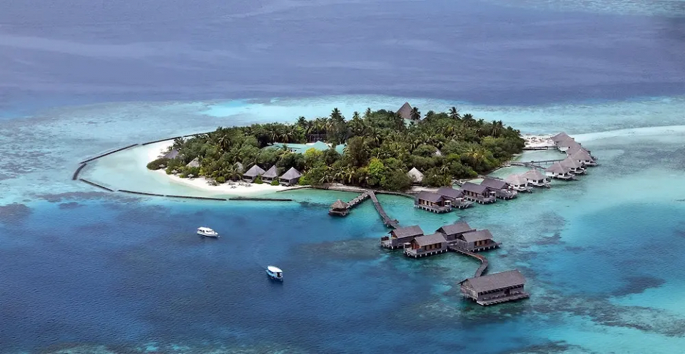 Отель Gangehi Island Resort & Spa