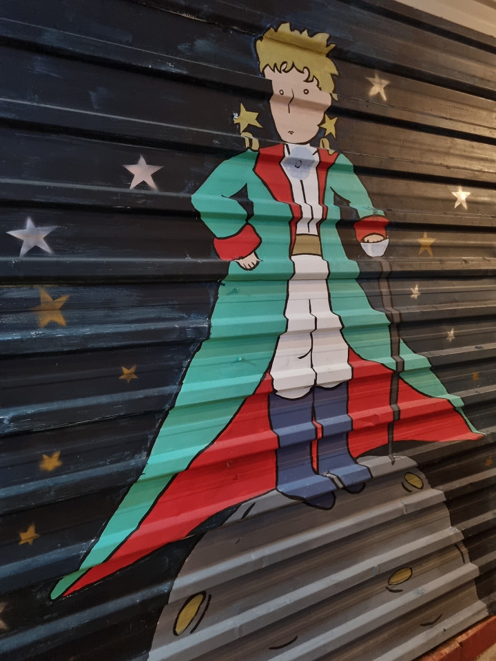 Маленький принц в Турции, отзывв