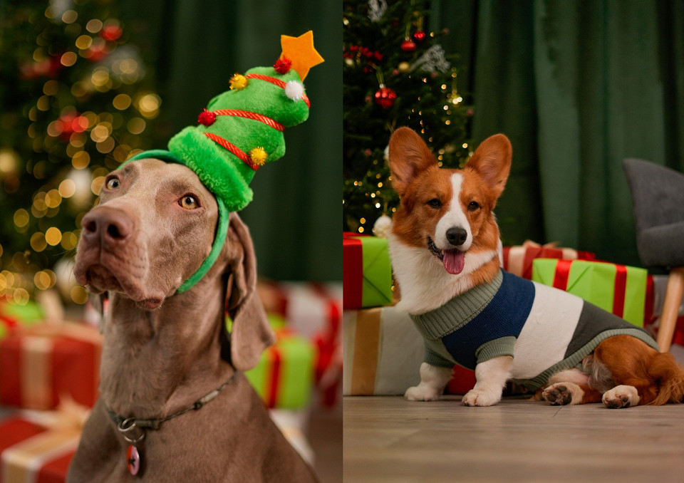 Мультимедийное пространство «Большая Страна»2