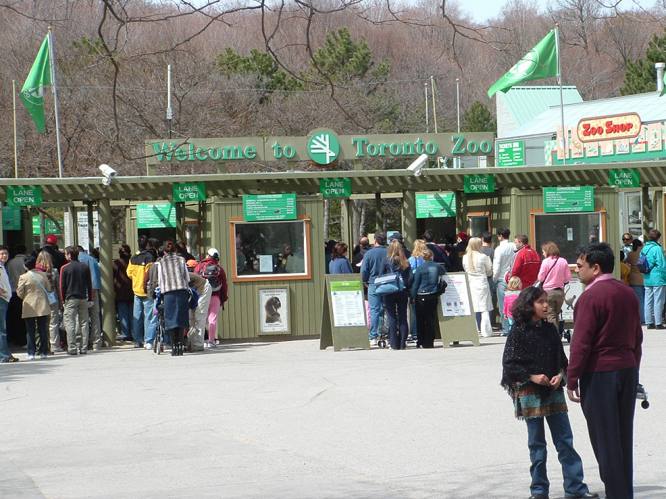 Зоопарк в Торонто
