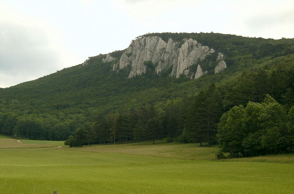 Венский лес