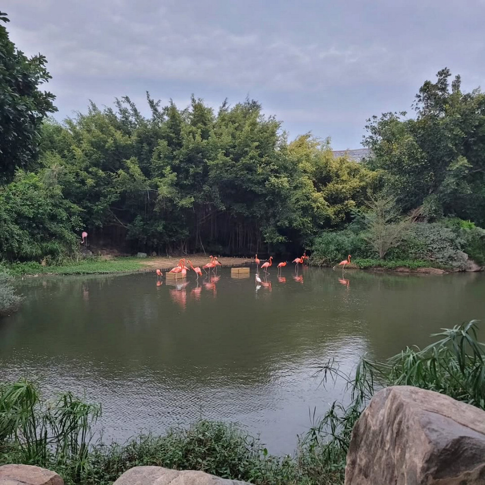 Отдыхали в феврале в Нячанге — полное разочарование2