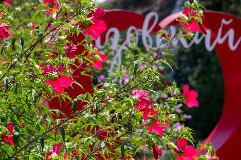 Курортная сеть «Азовский» (6)