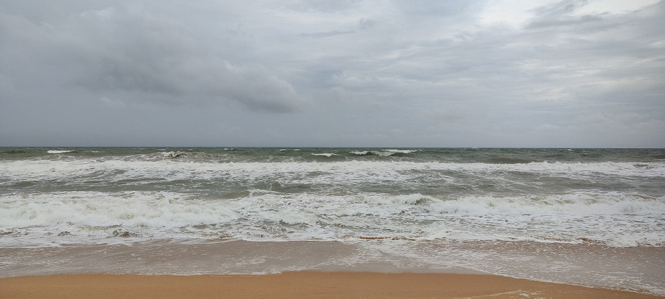 Шри-Ланка из Индии, отзыв2