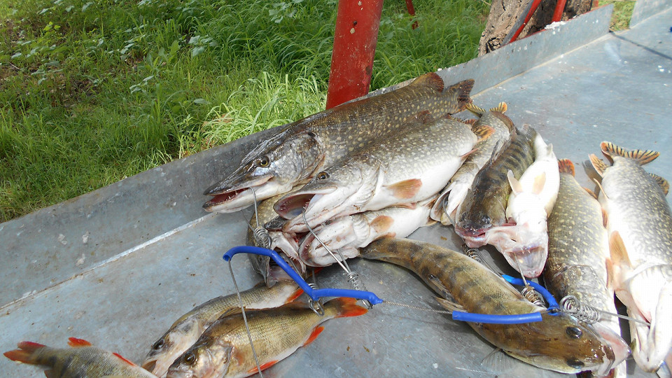 Забил на Турцию11