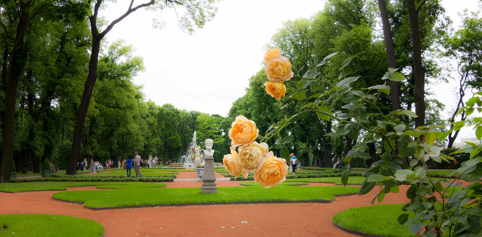 Коронный фонтан в летнем саду, Санкт-Петербург