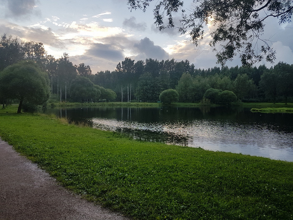 Парк «Сосновка», Санкт-Петербург