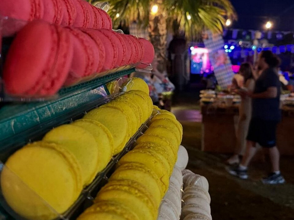 Подробный отзыв о Белеке 2