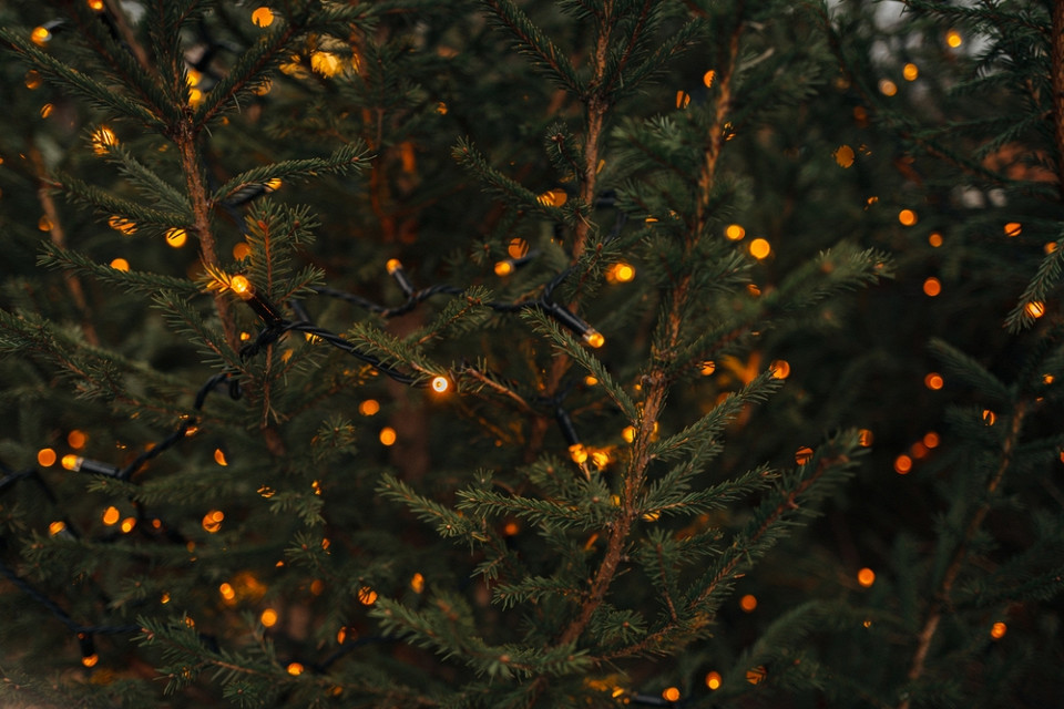 Гирлянды на елочных ветвях, Новый год