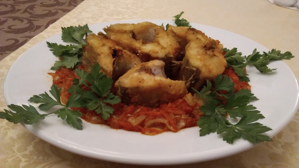 Забил на Турцию9