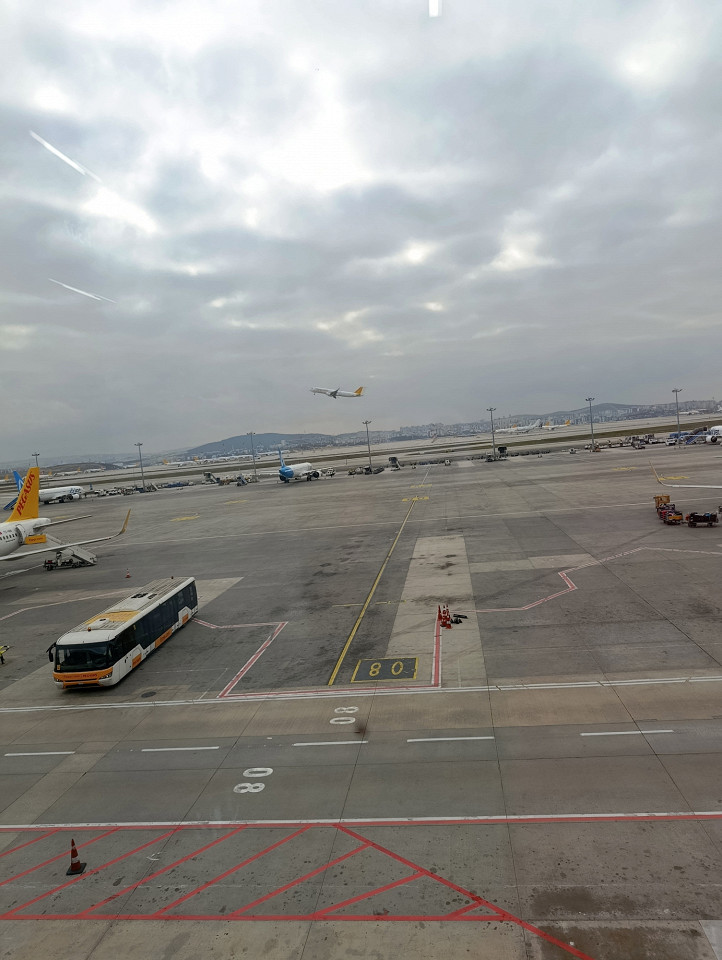 5 часов с детьми в Сабихе3