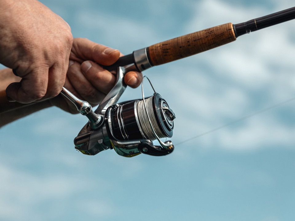 Где ловить окуня: лучшие места, приманки и советы для рыбалки 1