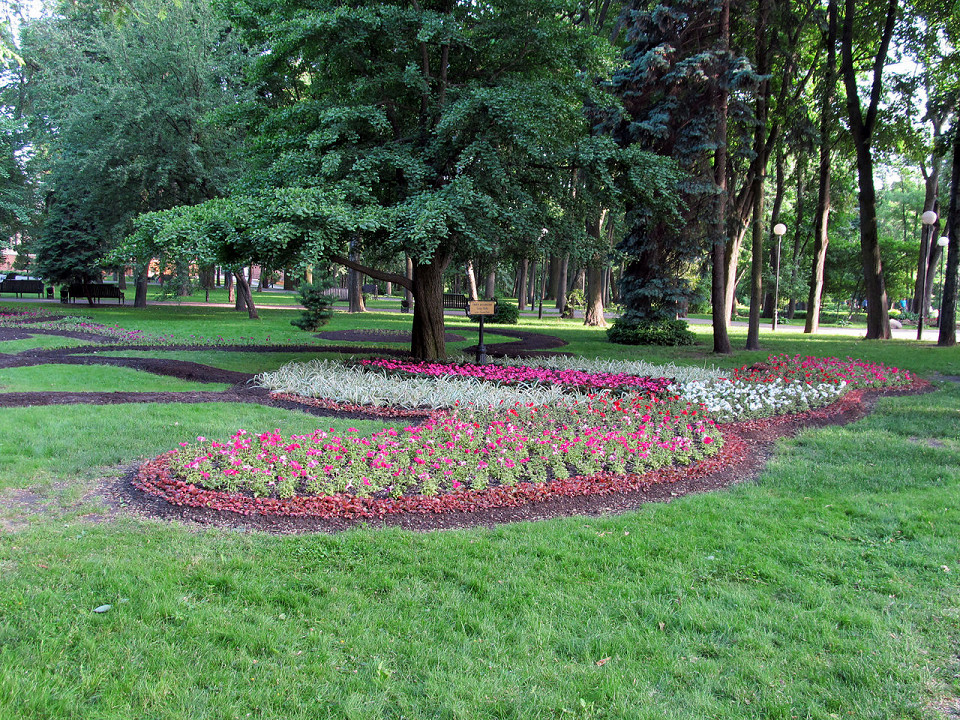 Гомельский парк, цветочные клумбы
