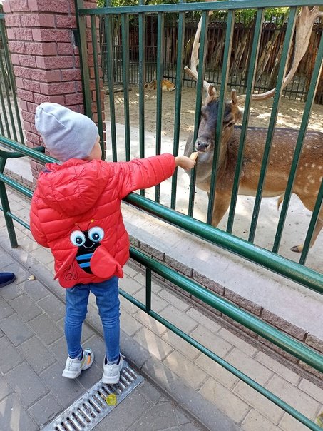 Атмосферный Нижний, отзыв8