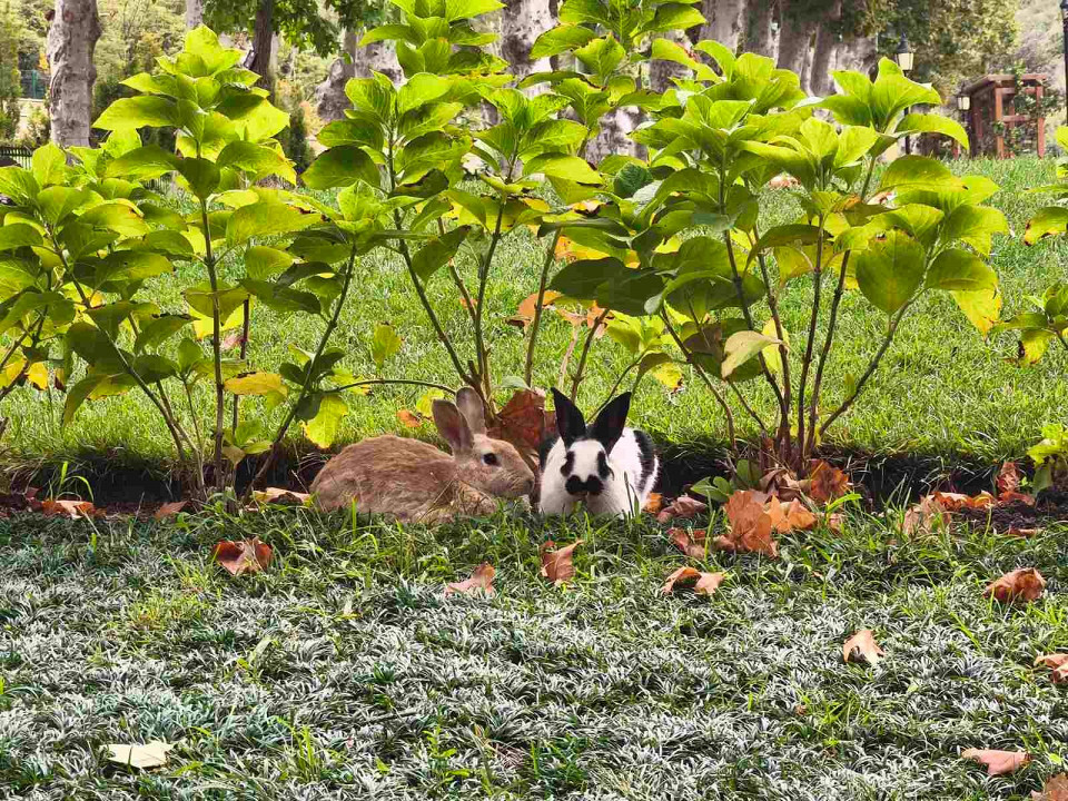 В любимый Стамбул приезжаю всегда как впервые 2