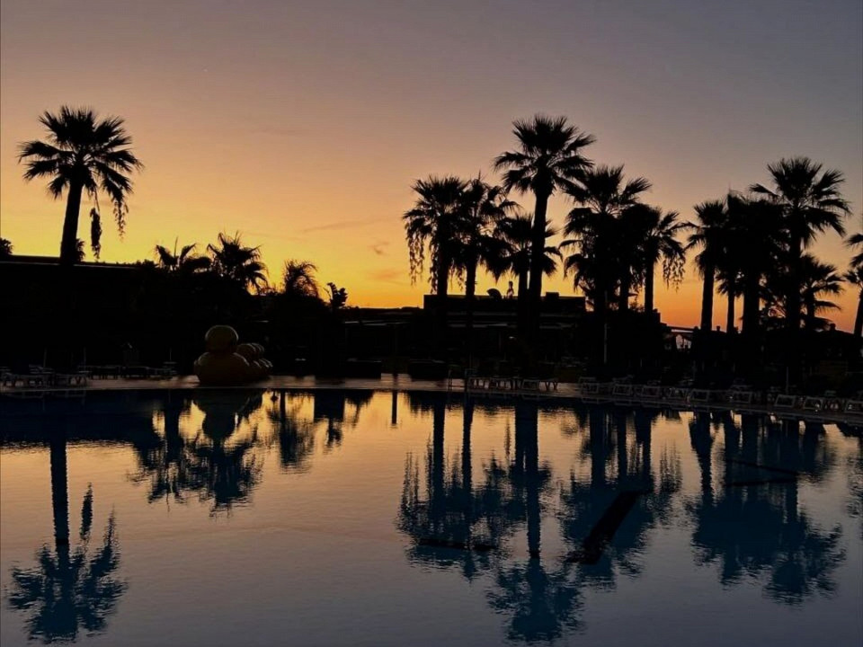 Подробный отзыв о Белеке 6