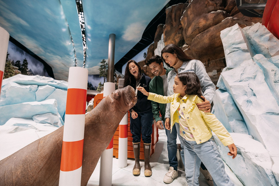 SeaWorld Abu Dhabi4