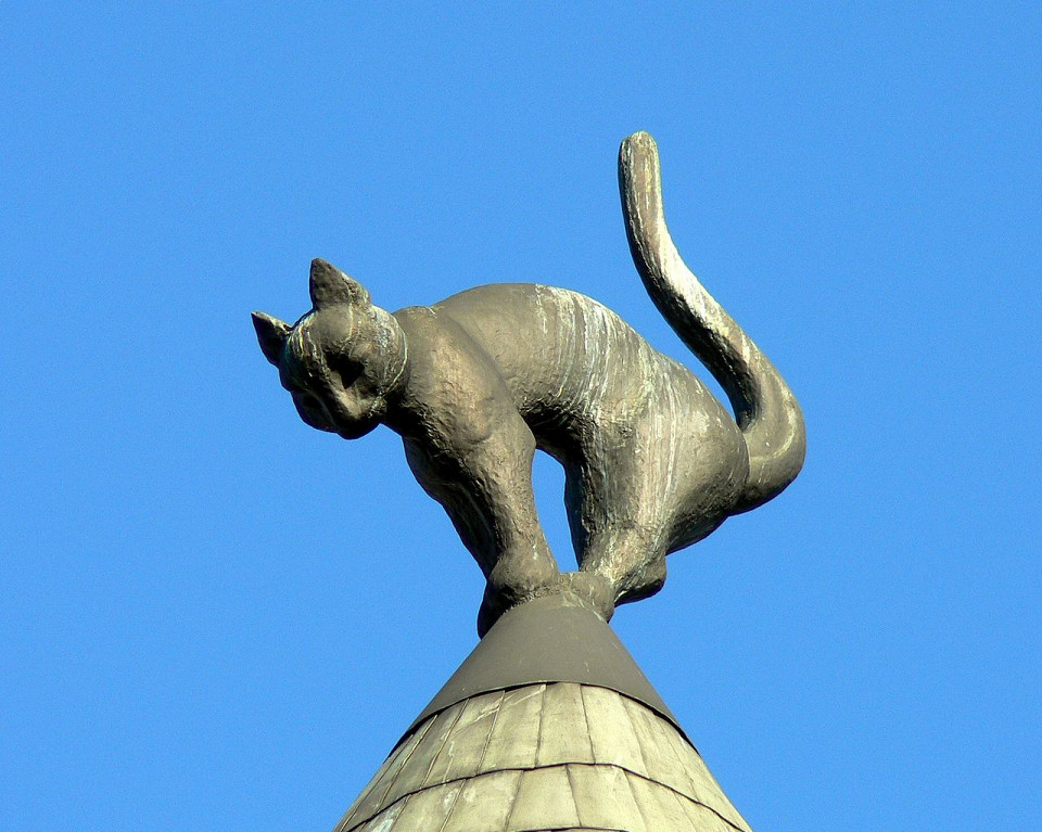 Кошкин дом в Риге, один из котов