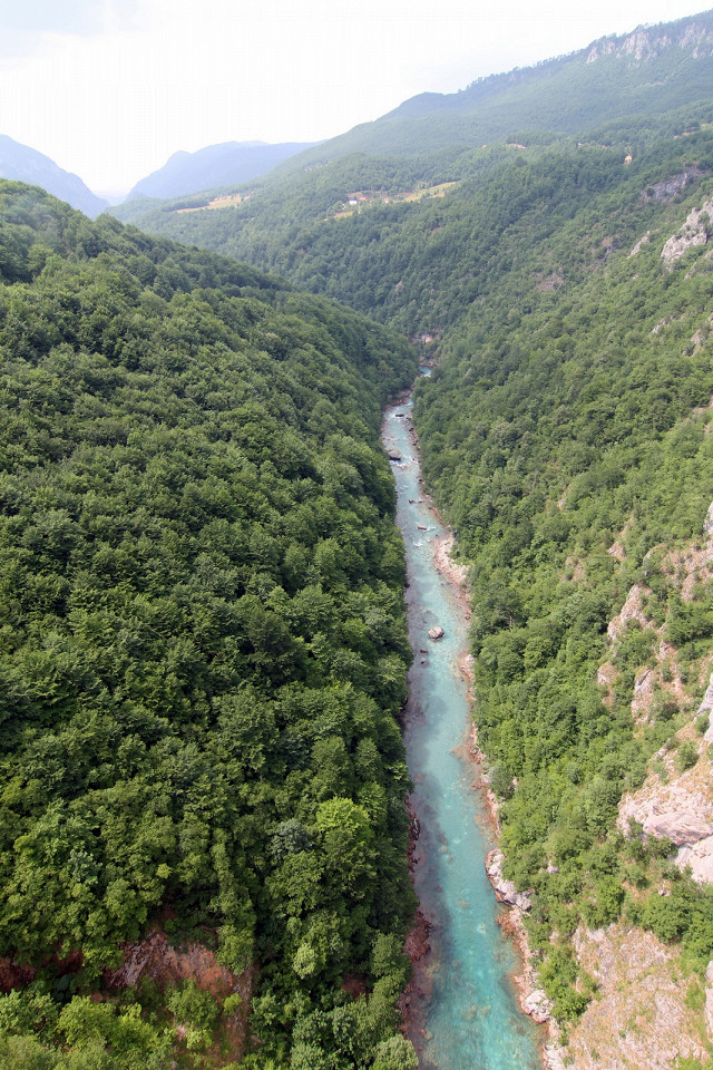 Река Тара, Черногория