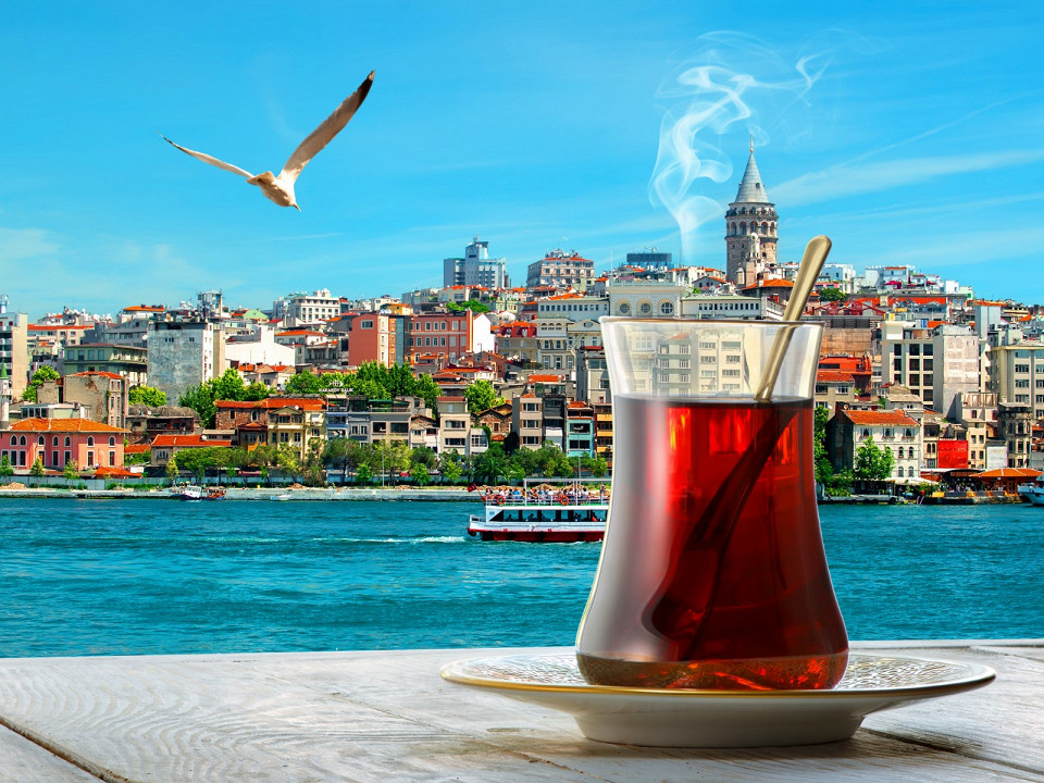 Где растет чай 4