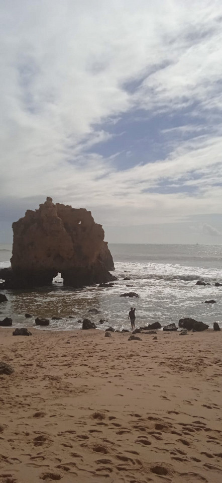 Португалия, отзыв