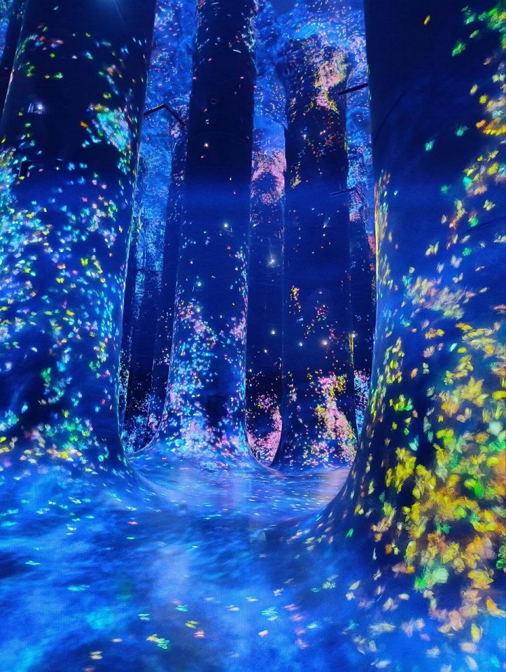 TeamLab Phenomena в Абу-Даби1