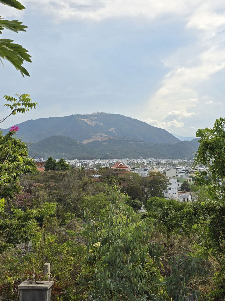 Дананг балует, отзыв5