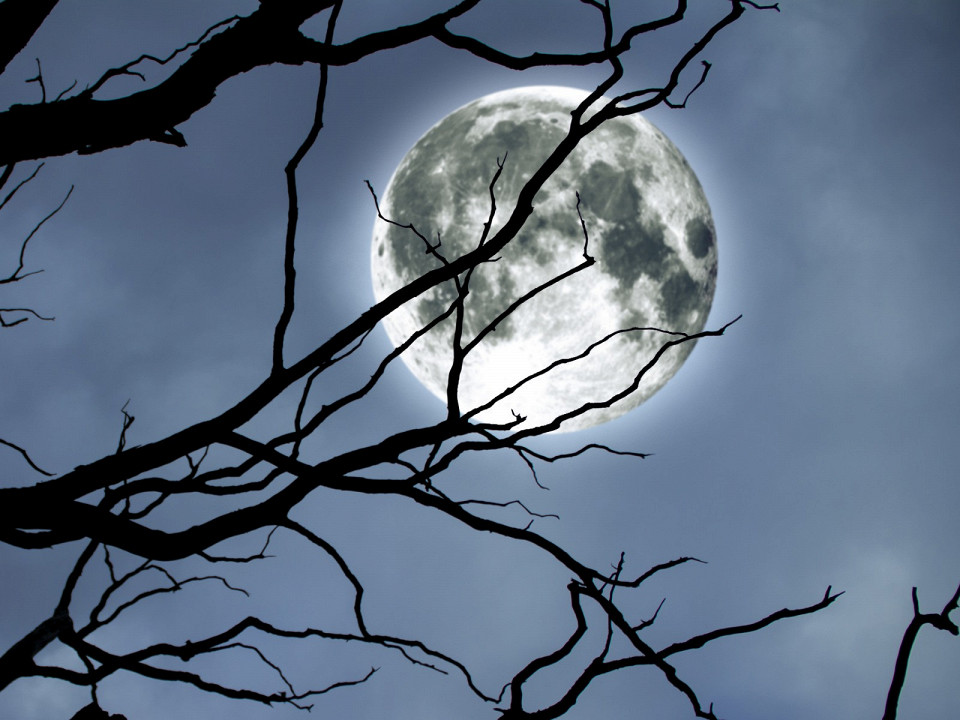 Вампиры в мифологии: легенды, происхождение и образы 1