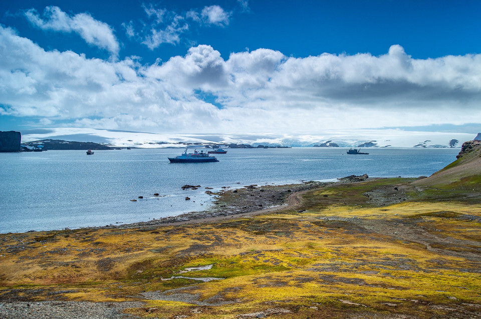 Остров Кинг-Джордж, Южный океан, Антарктида