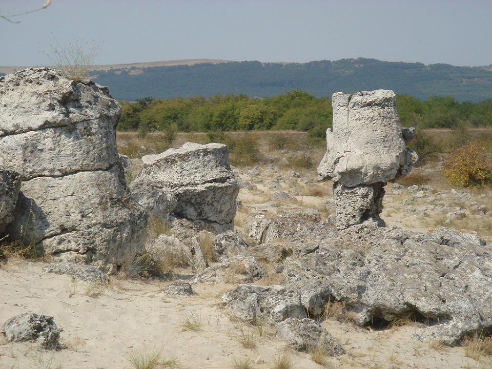 Каменный лес в Варне