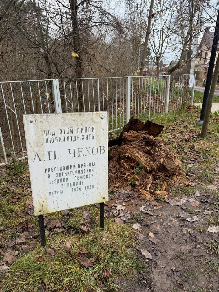 Приехала в расхваленный Звенигород7