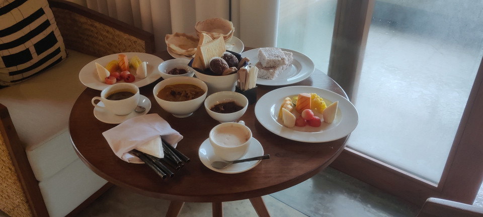 Шри-Ланка из Индии, отзыв4