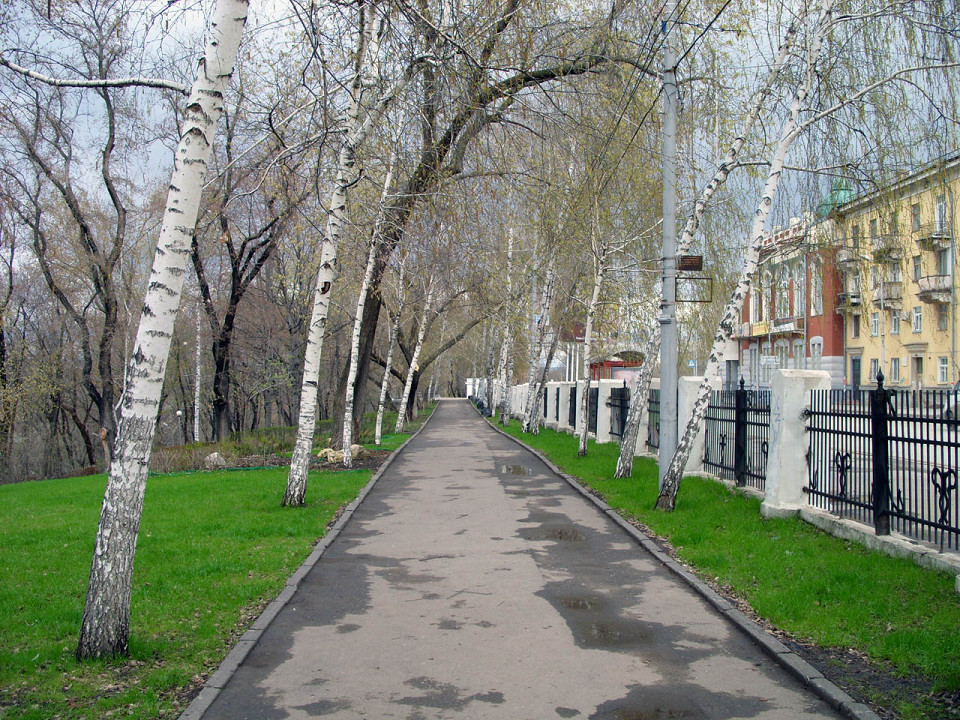 Струковский сад, аллея