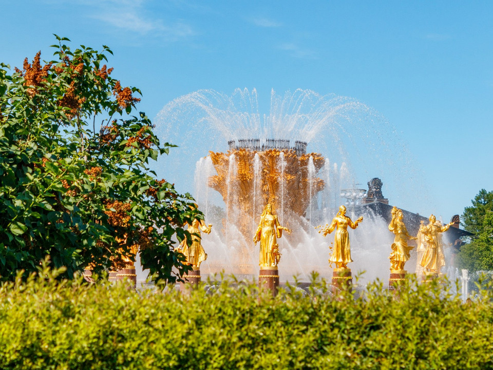 Насыщенный день на ВДНХ заглавн