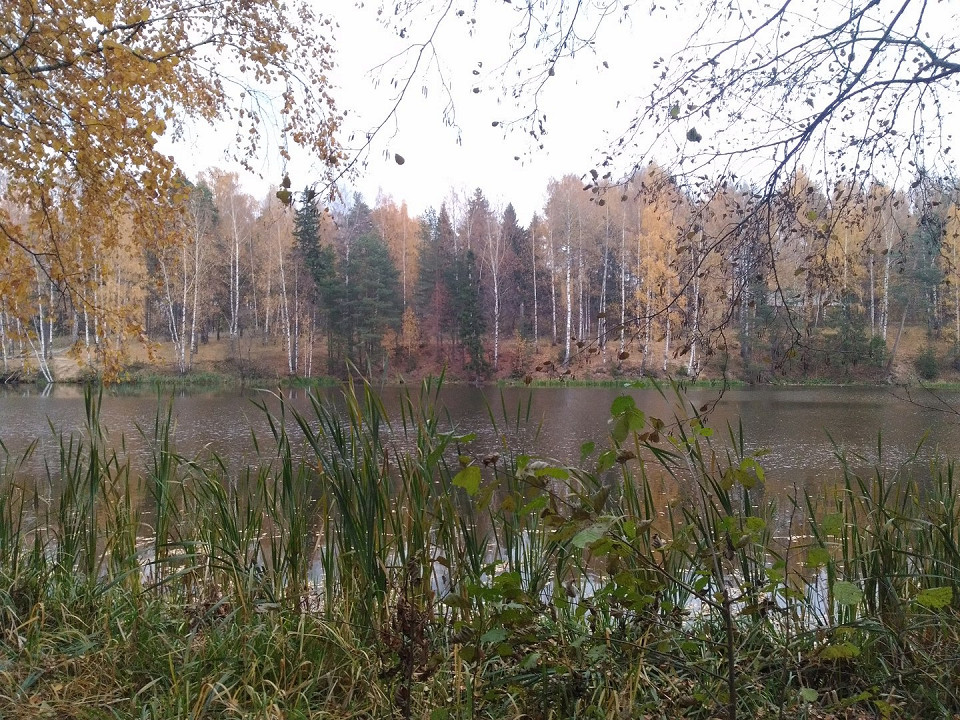 Парк «Харинка»