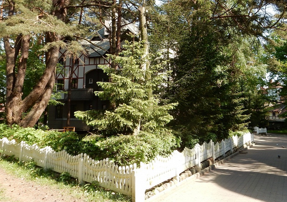 Переулок Сказочника Гофмана, Светлогорск