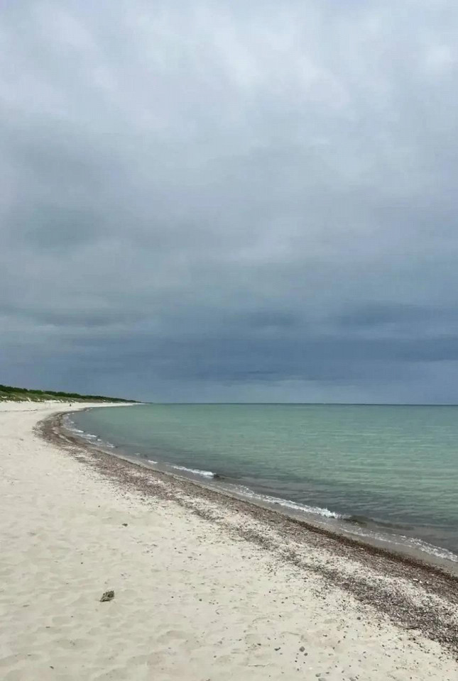 Море, крендели, янтарь в Зеленоградске 8