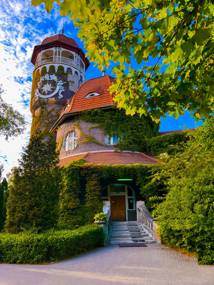 Край янтаря, Калининград, отзыв9
