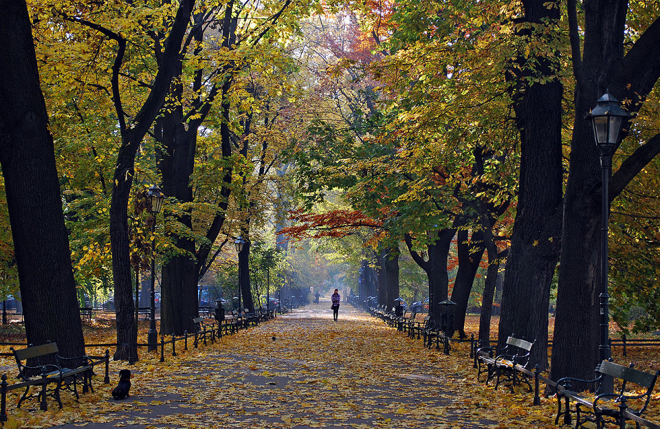 Краковские Планты, осенняя аллея