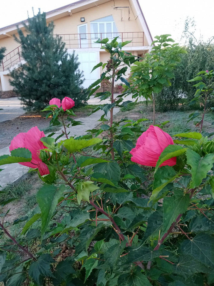 Забил на Турцию4