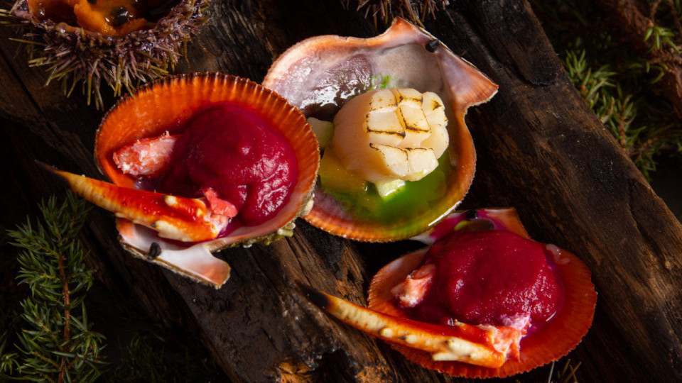 На Кольском полуострове26