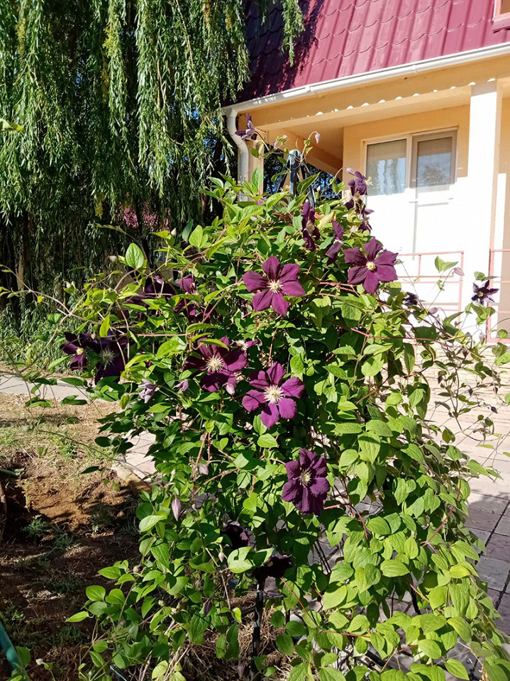 Забил на Турцию16