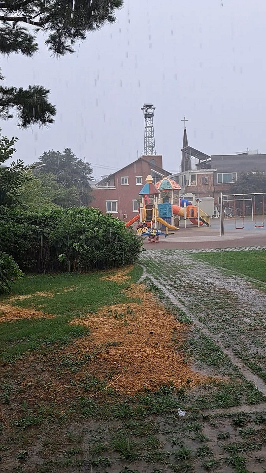 Южная Корея, отзыв8